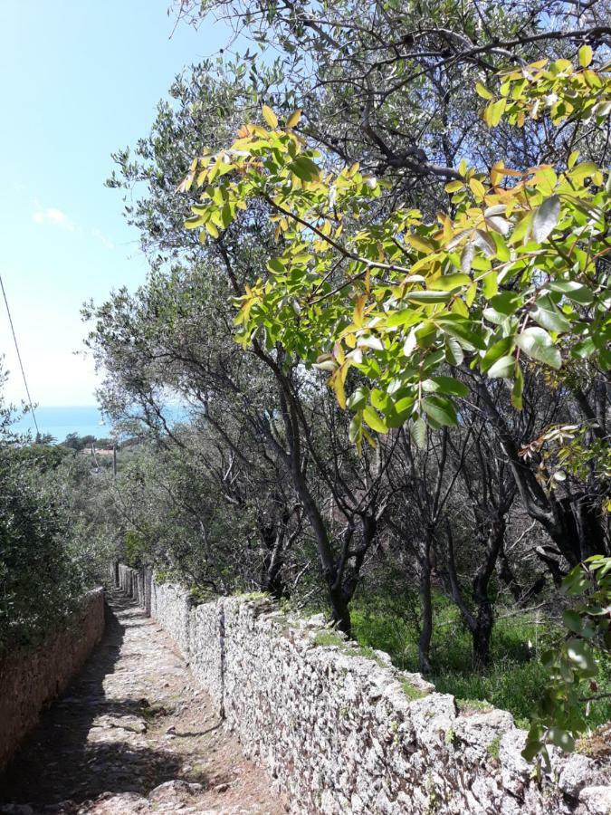 Appartamento Il Golfo Dei Poeti E 5 Terre A 2 Passi La Spezia Kültér fotó